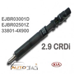 Injecteur DELPHI EJBR03001D 2.9 CRDI