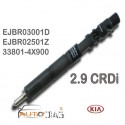 Injecteur DELPHI EJBR03001D 2.9 CRDI