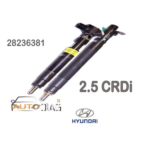 INJECTEUR DELPHI 28236381  28236381 autodiag78.com