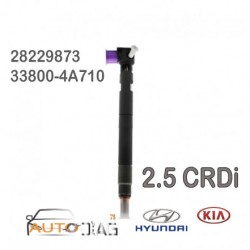 Injecteur DELPHI 28229873
