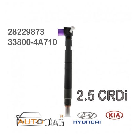 Injecteur DELPHI 28229873 33800-4A710 autodiag78.com