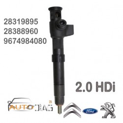 Injecteur DELPHI 28319895