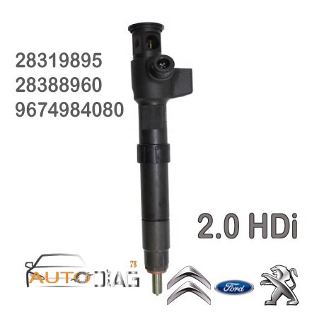 Injecteur DELPHI 28319895